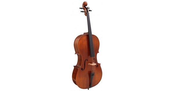 Hidersine vivente violin online